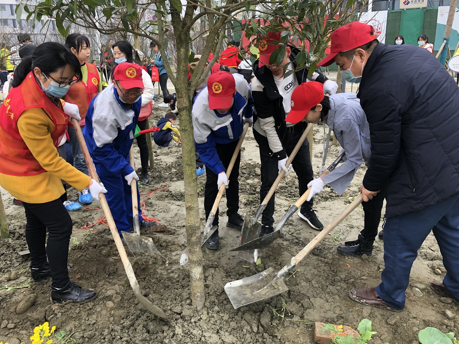 2021年植树节活动