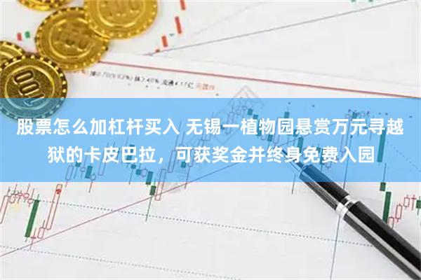 股票怎么加杠杆买入 无锡一植物园悬赏万元寻越狱的卡皮巴拉，可获奖金并终身免费入园